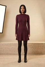 Ribbed High Neck Long Sleeve A-Line Mini Dress in Burgundy, front view – Petopet