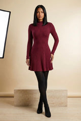 Ribbed High Neck Long Sleeve A-Line Mini Dress in Burgundy, three-quarter view – Petopet