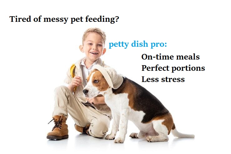 602612945223848874881 (1)