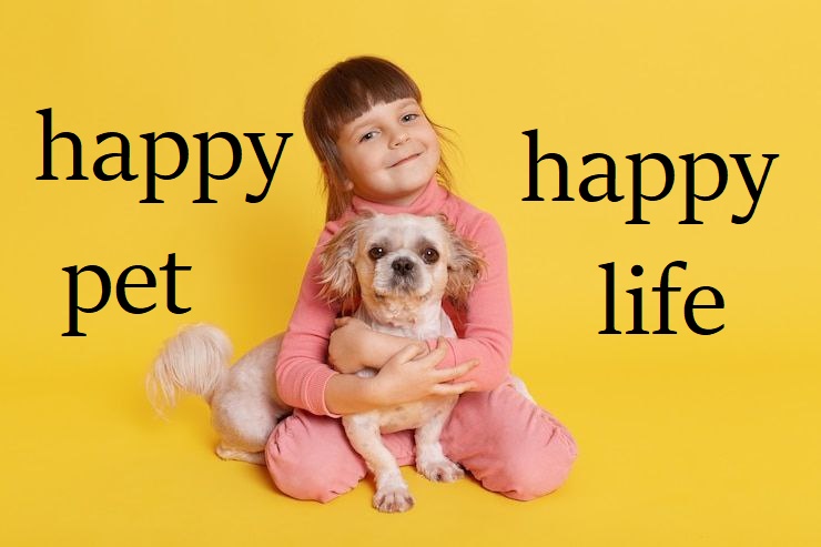 60261294522384n88880 (1)