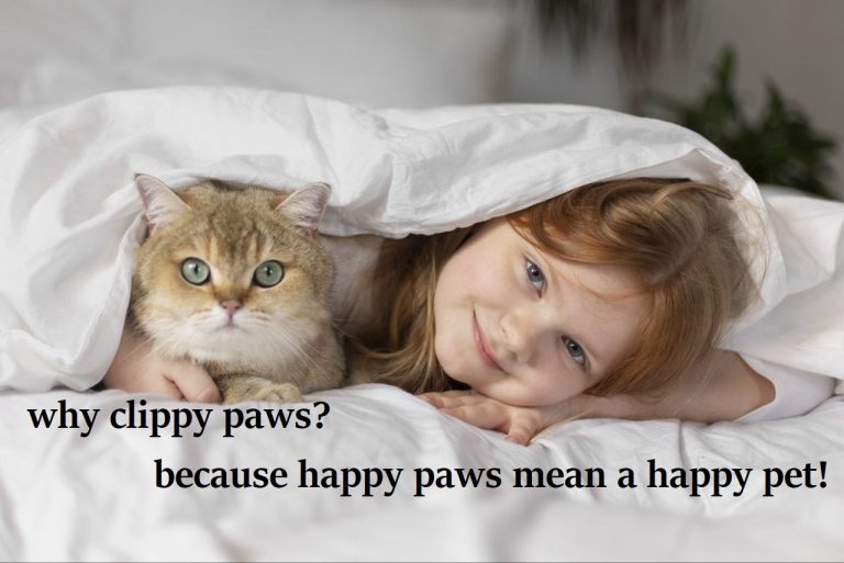 602612945223tt8488875